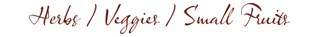hvsf