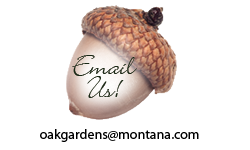email us email us