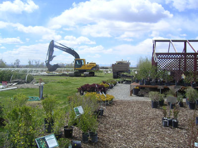 landscape-1-more2