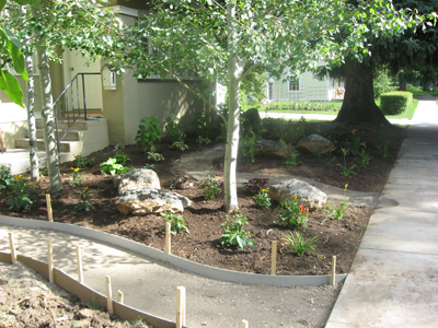 landscaping-068