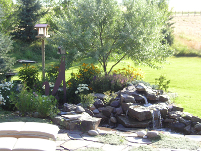 landscaping2