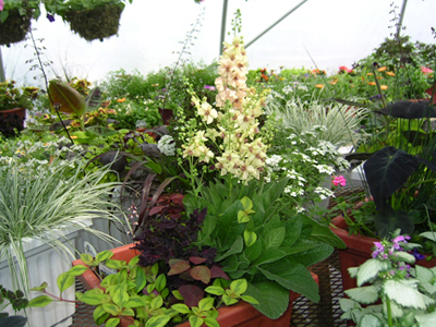 products-and-services-1