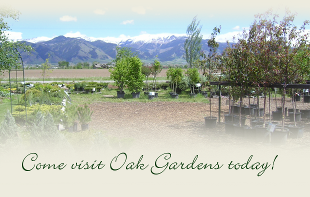 oak-gardens-generic