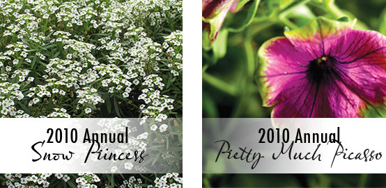 newannuals